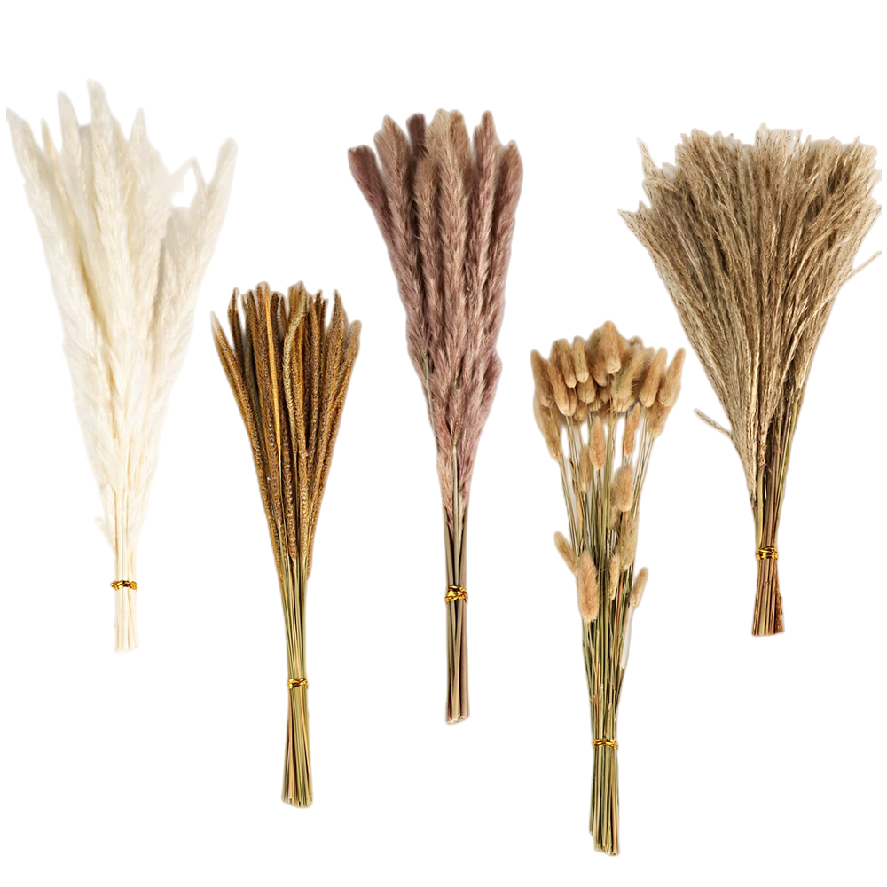 Autumn Vintage Mixed Dried Flo - Pampas Grass Decor 评论和价格