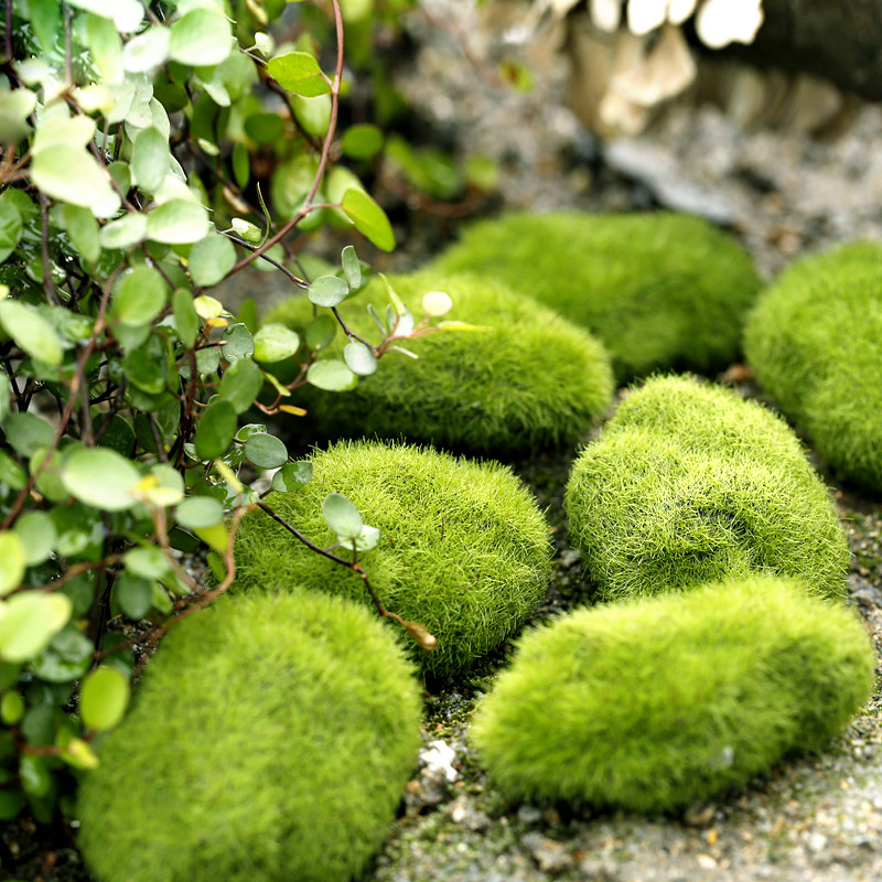 Green Artificial Grass Foam Mo - Home Decor Za 评论和价格