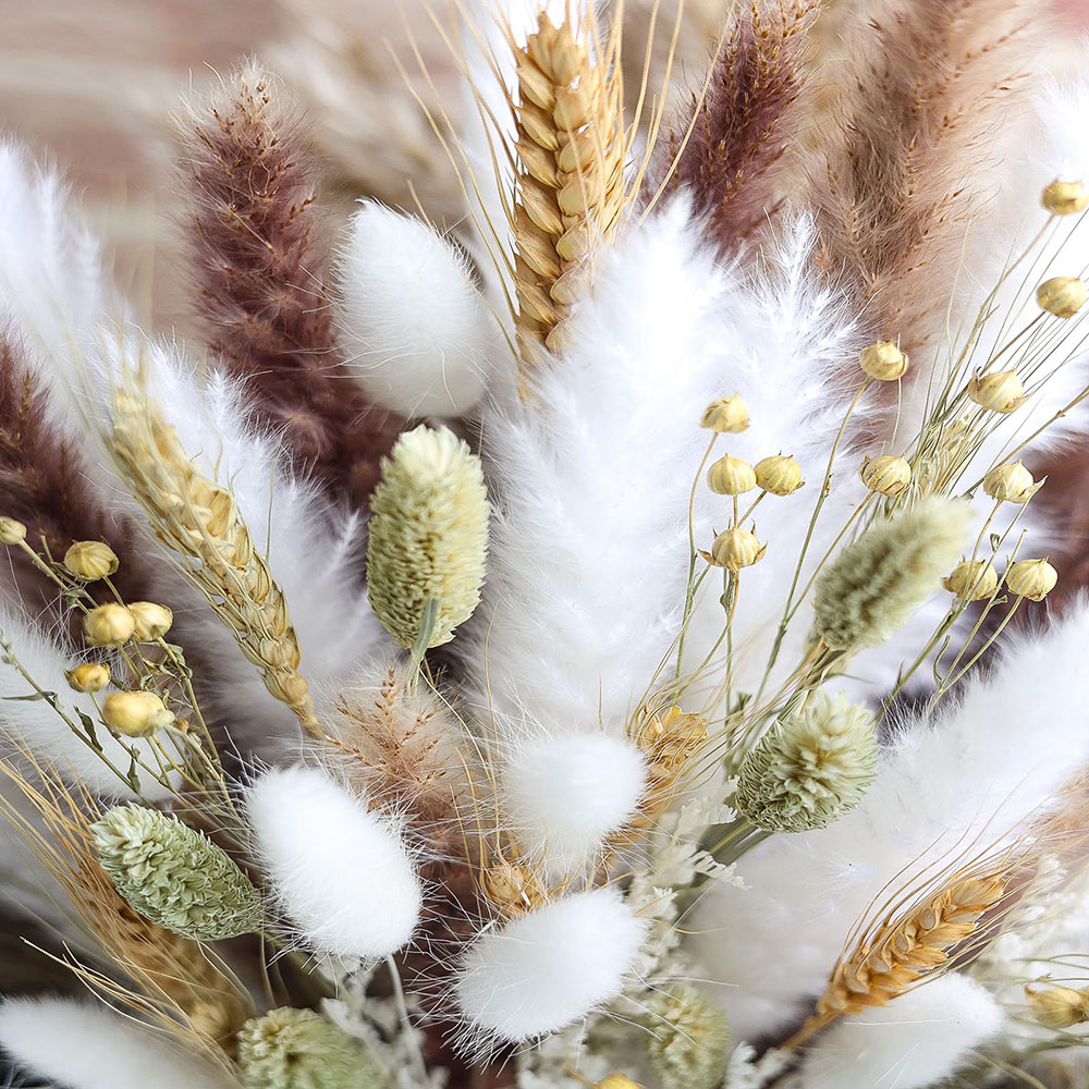 100pcs Dried Pampas Grass Bouq - Pampas Grass Decor 评论和价格
