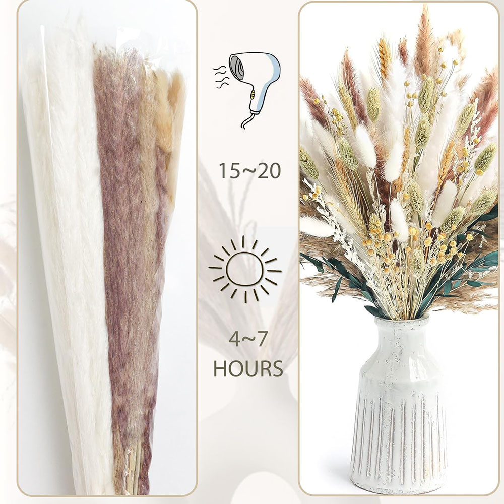 100pcs Dried Pampas Grass Bouq - Pampas Grass Decor 评论和价格