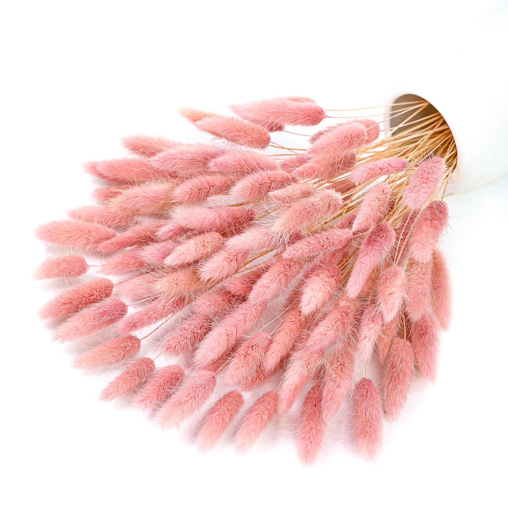 120 Stem Pink Dried Pampas Bun - Pampas Grass Decor 评论和价格