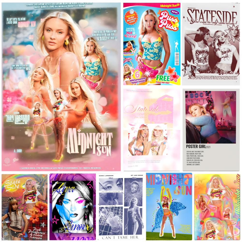 Singer Z-Zara L-Larsson Poster - Home Decor Za 评论和价格