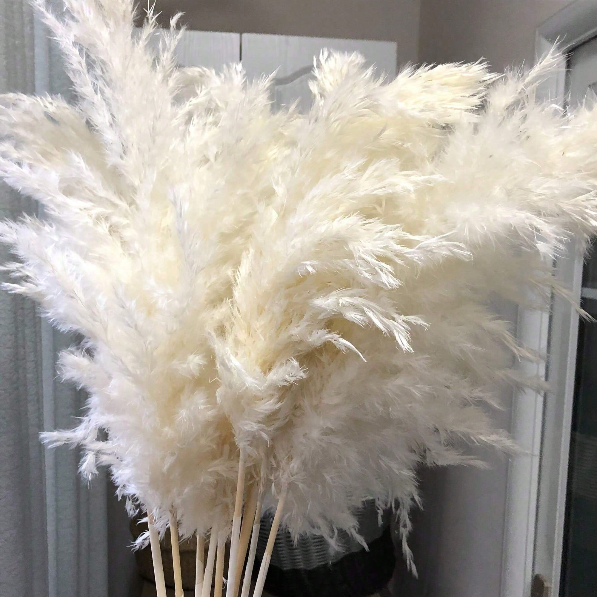 10/20/30pcs White Artificial P - Pampas Grass Decor 评论和价格